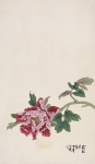 ʻ